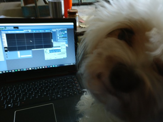 Screenshot from a Studio Spacefarer game.