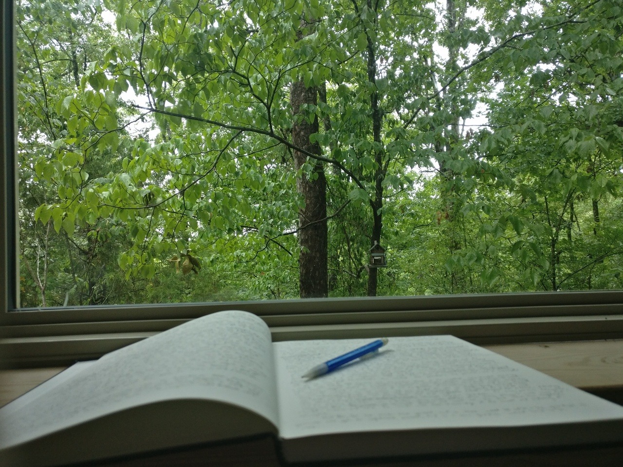 My wife and I took a vacation last week! MUCH needed time in the beautiful forests and mountains of Arkansas. I made it my mission to rest from creative stuff while we were there, but I did take a few hours one afternoon to write some of the game’s lore and backstory in my sketchbook, which you can see above!<br>  Also here’s Oreo, the wandering cat of the property, who became my friend:  {{PC_IMG:0}}  {{PC_IMG:1}}  Alright, so on to this week! Didn’t get too much done, but the momentum is definitely building back up. :)<br><br>**Tuesday**<br>Worked on the first draft of the overworld map. Got the town more or less settled in its place on the island, and have begun to extend it to include the castle and the surrounding countryside.<br><br>**Wednesday**<br>Was feeling pretty unmotivated today, even for my day job, so when I wrapped up work I just played some games (Hollow Knight!!! I’m taking notes……) and did some organization (digitizing our media library). <br><br>**Thursday**<br>Worked on Draft 3 of the novelization for writers group this Saturday. The game and the novelization have been really feeding off each other. My hope is that, even though I’m going to hardcore trim the story for the game, that the novelization will lend extra depth and worldbuilding to it anyway.<br><br>**Friday**<br>More work on that novelization thing!